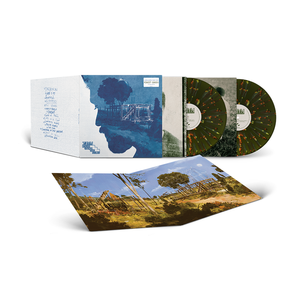 Room Under The Stairs 2LP - Republic Records Official Store