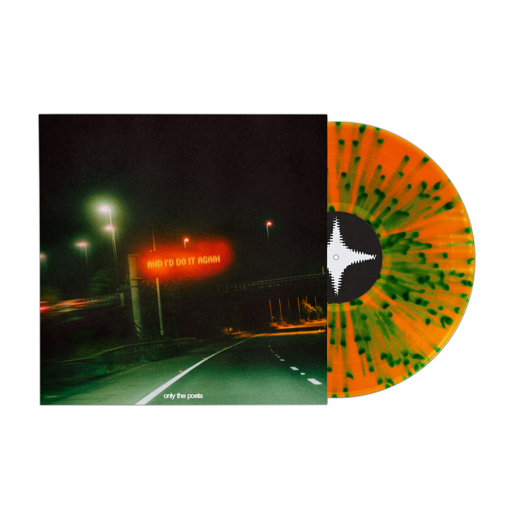 and i'd do it again lp