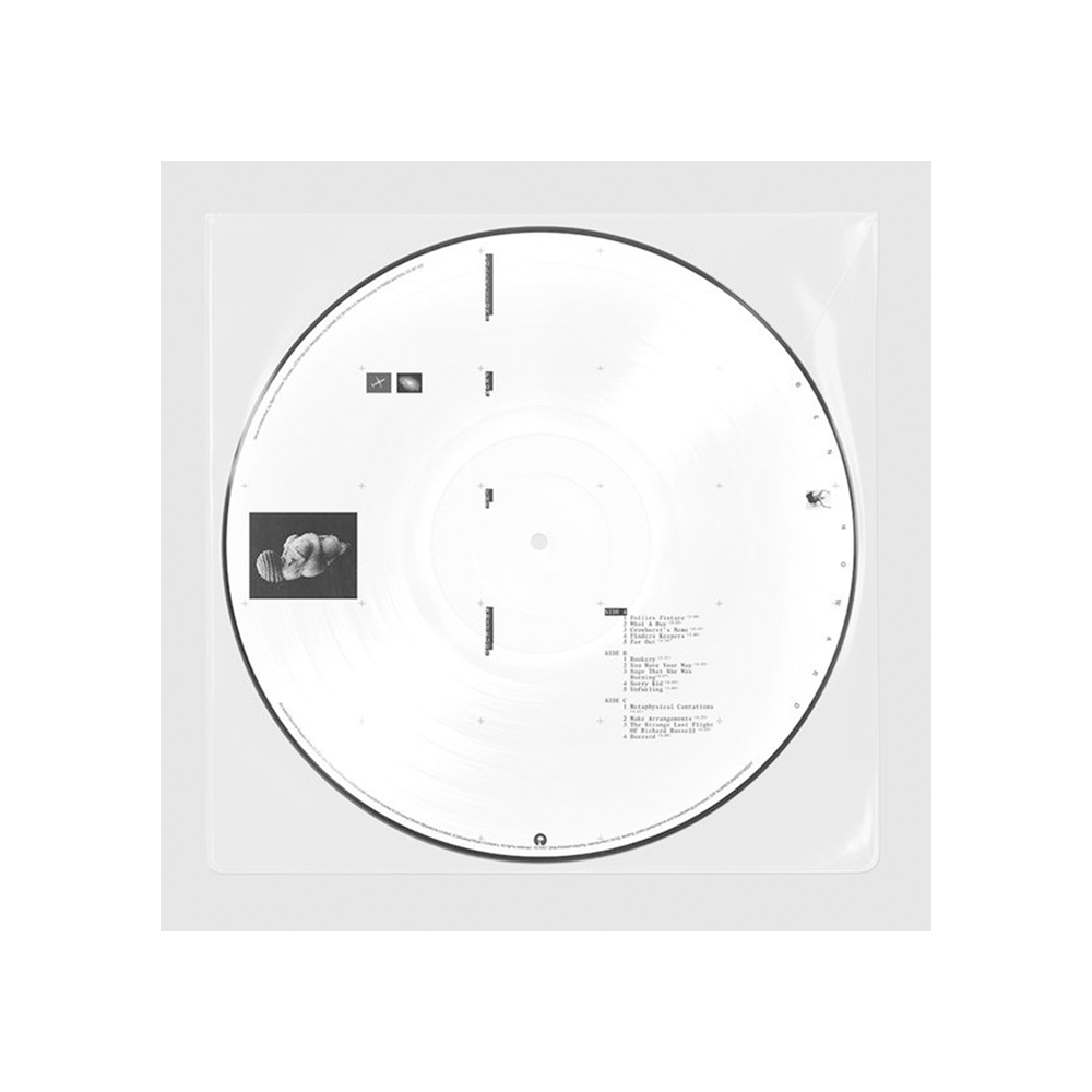 Collections From The Whiteout (D2C Exclusive) Picture Disc 2LP