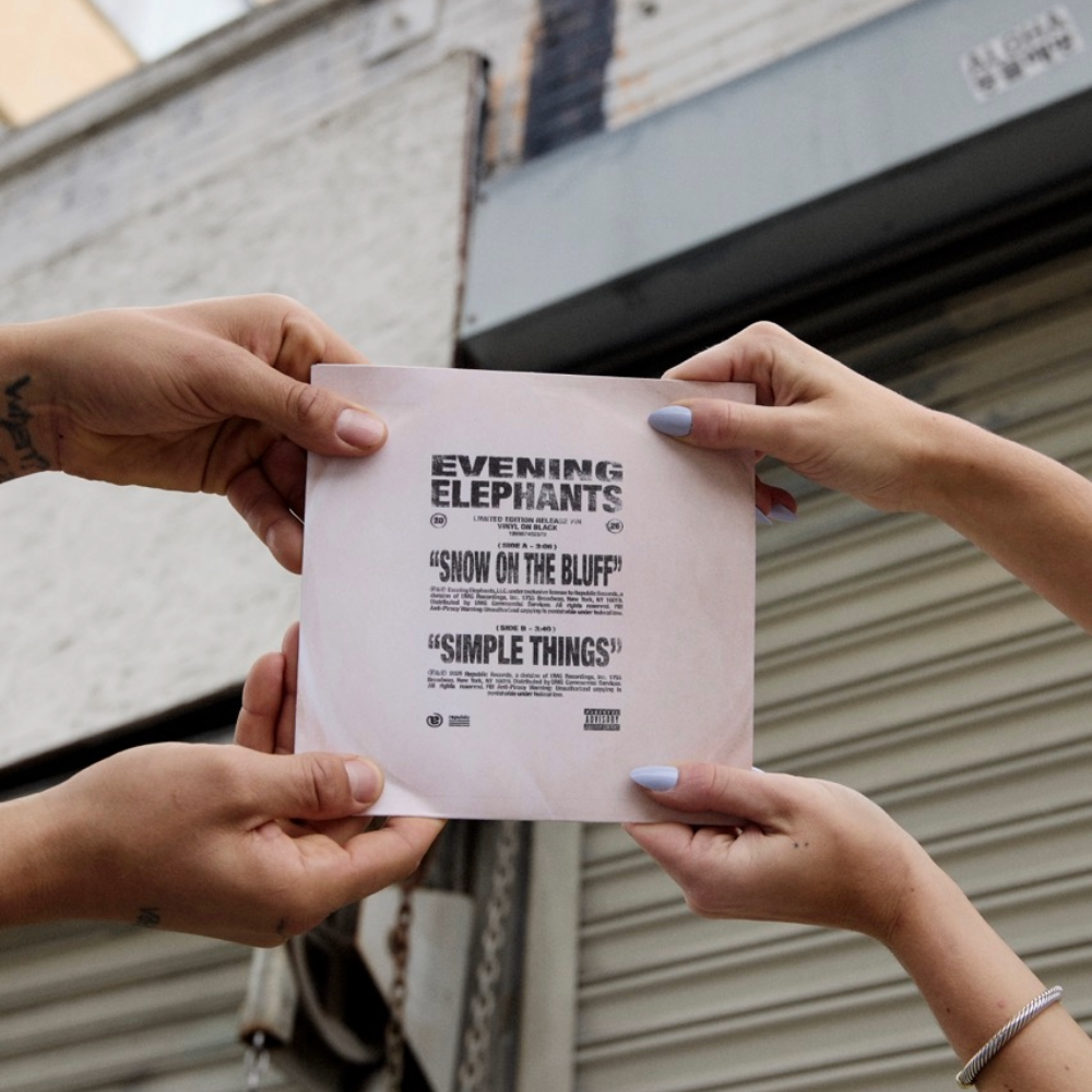 Evening Elephants Shared