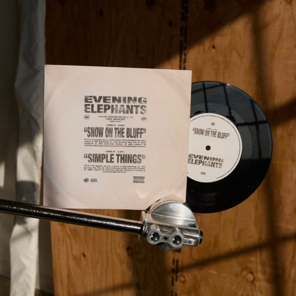 Evening Elephants Staged