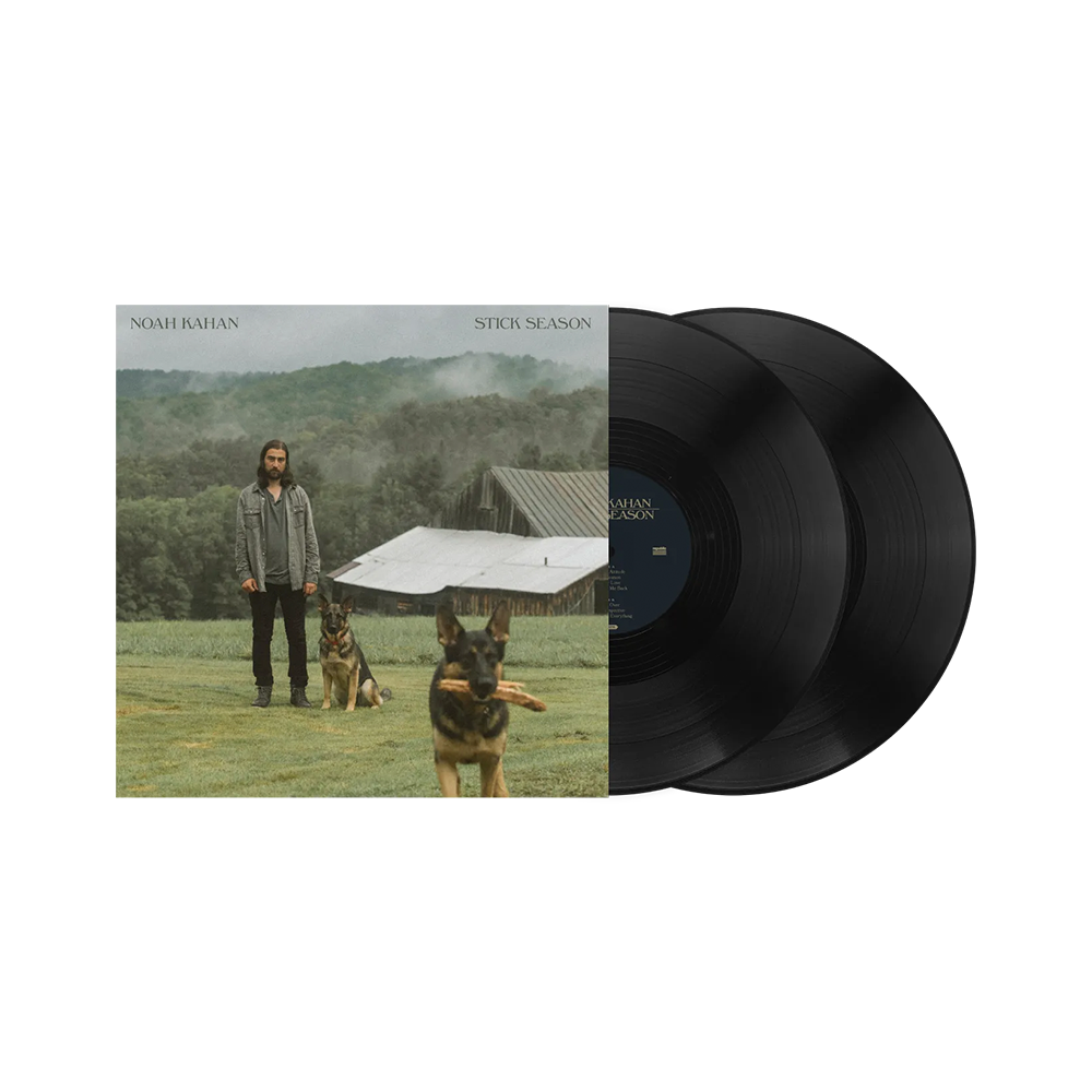 Stick Season 2LP