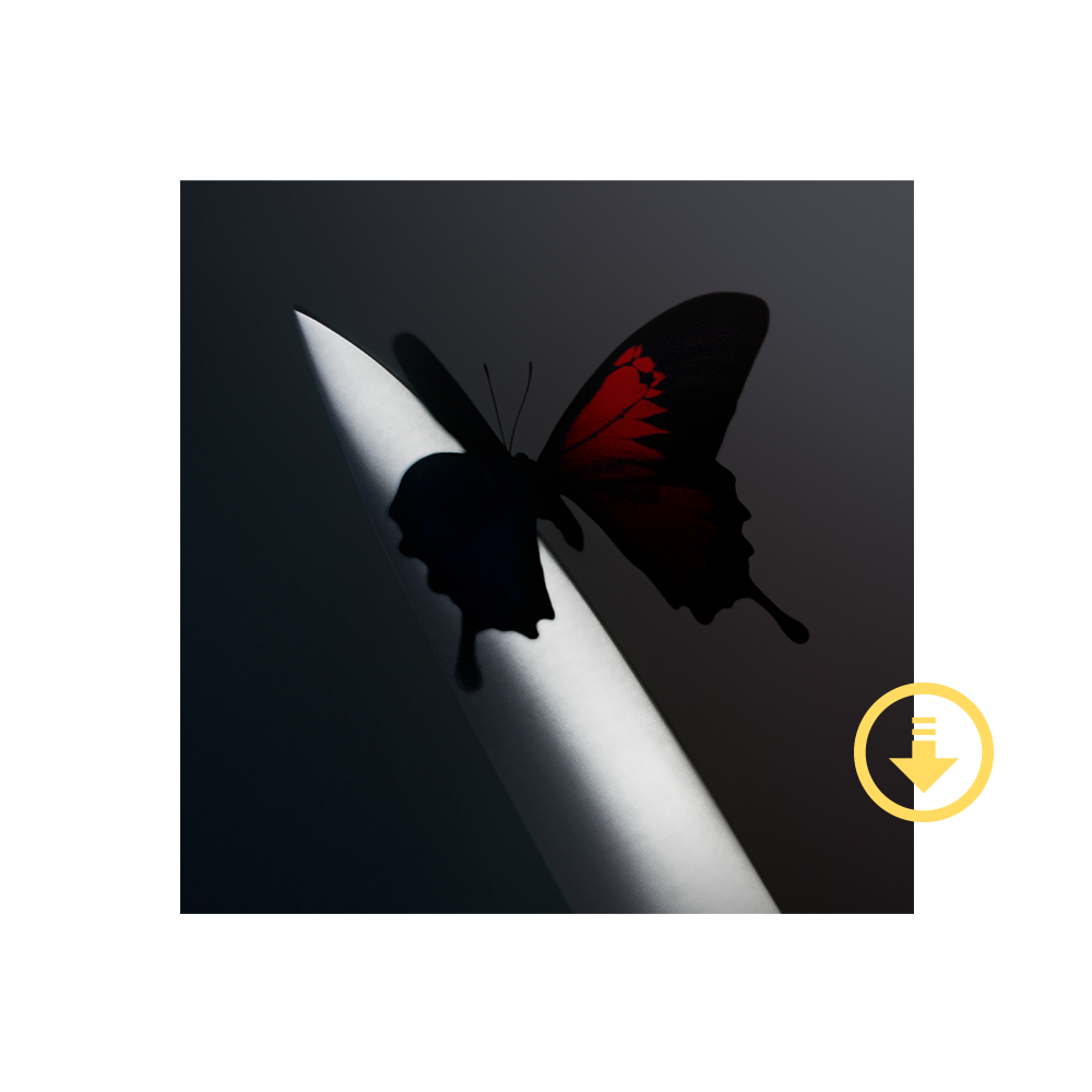 Post Malone, Twelve Carat Toothache Digital Album
