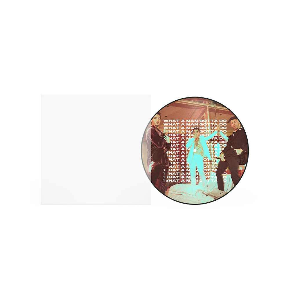 Jonas Brothers, What A Man Gotta Do Band Photo 2 Picture Disc 7"