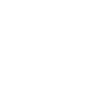 Xdinary Heroes