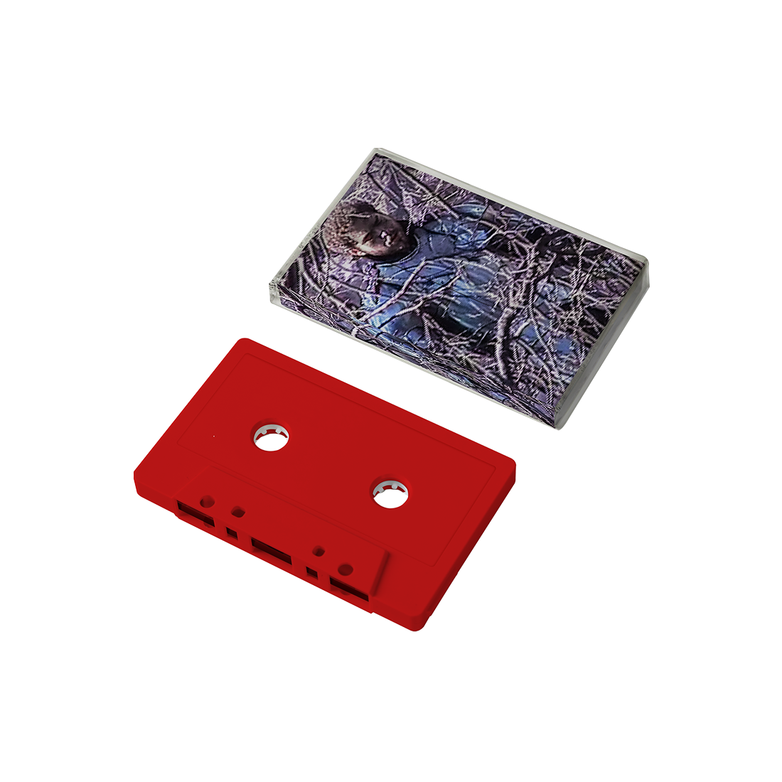 Circles Cassette