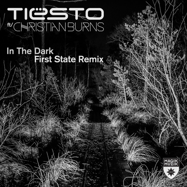 In the Dark (First State Remix)