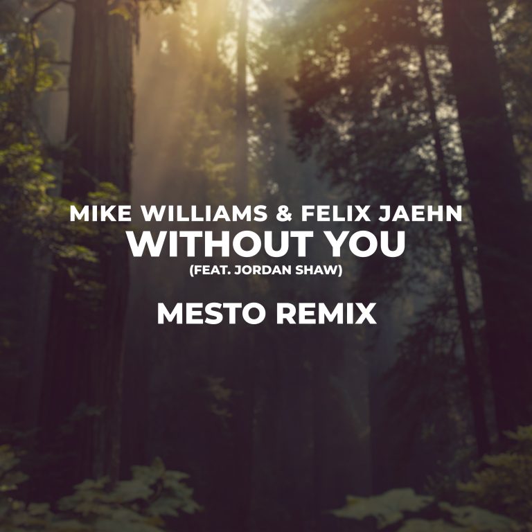 Mike_Williams_Felix_Jaehn_Without You (MESTO Remix)