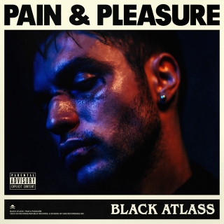 Pain & Pleasure art