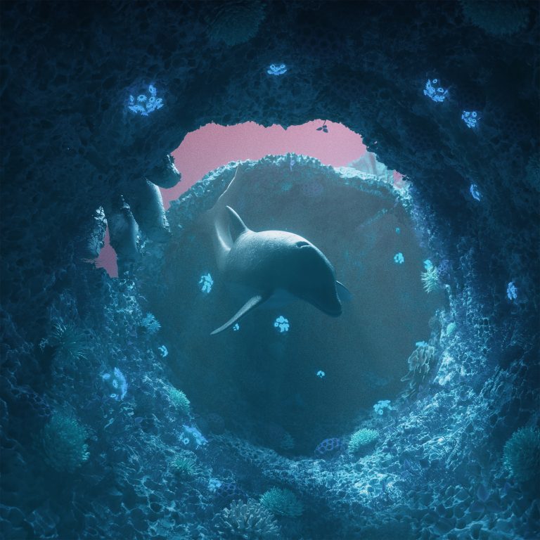 BlueCoverDetail