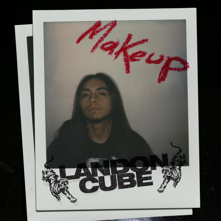 LandonCube_MakeupCoverComps