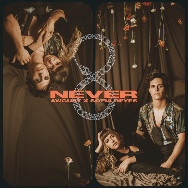 rsz_never_artwork_300
